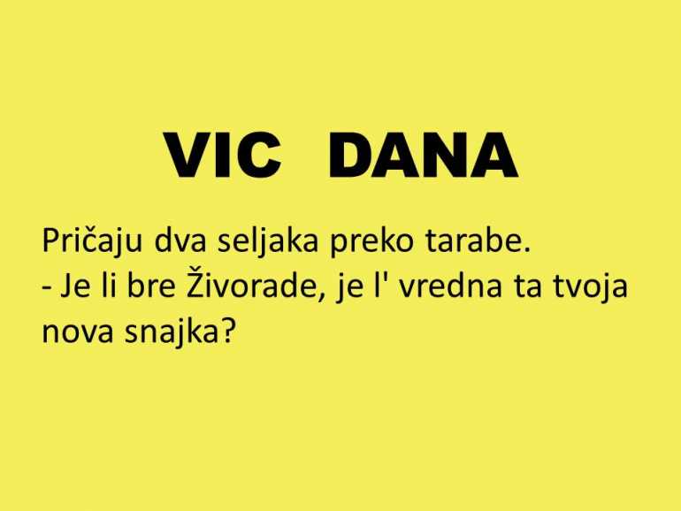 VIC DANA: Vredna snajka