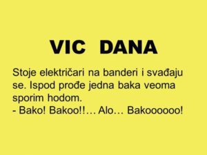 VIC DANA: Nula ili faza Stoje električari na banderi i svađaju se. Ispod prođe jedna baka veoma sporim hodom. - Bako! Bakoo!!… Alo… Bakoooooo! - prodera se jedan električar. Baka zastade, pogleda oko sebe… Posle jedno pola minuta zbunjenosti baka uspe da locira glasove sa bandere i podignu pogled ka njima: - Reci sinko. - prozbori baba. - Bako, molim vas, izvinite, jel biste mogli samo tu žicu što viri iz bandere da je uzmete i ubacite unutra? - A! Naravno, naravno, oće baba sine, oće, evo odma`... Uradi baba kako je zatraženo i produži dalje. - Eto ti, jel vidiš da je ‘nula’ budaletino! A ti zapeo: faza, pa faza!!!… J*bala te faza!!!!!!