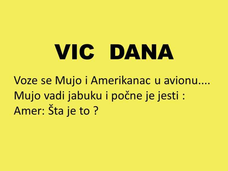 VIC DANA: Amerikanac i Mujo u avionu….