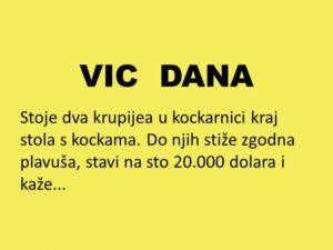 VIC DANA: Gola plavuša