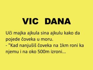 VIC DANA: Posao više od jednog sata