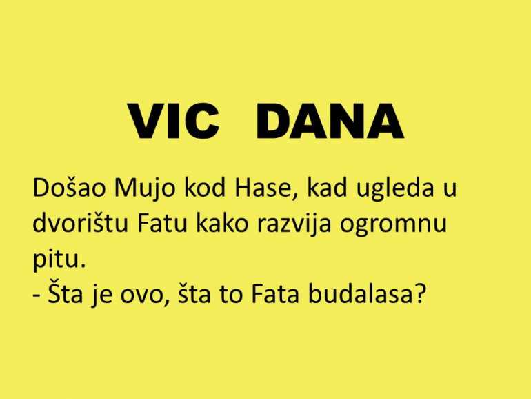 VIC DANA: Mujo, Haso i zlatna ribica