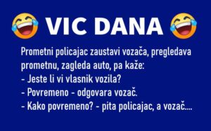 VIC DANA: Povremeni vlasnik