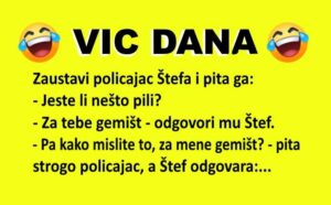 VIC DANA: Za tebe gemišt