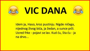Vic Dana: Mujo na ljetovanju