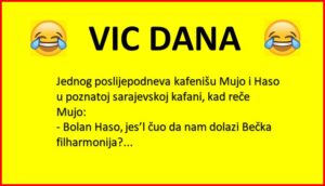 Vic Dana: Mujo i Haso u kafani