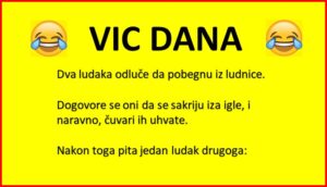 Vic Dana: Dva luđaka bježe iz bolnice