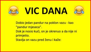 VIC DANA: PANDUR I POKLON