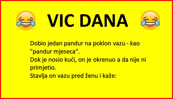 VIC DANA: PANDUR I POKLON